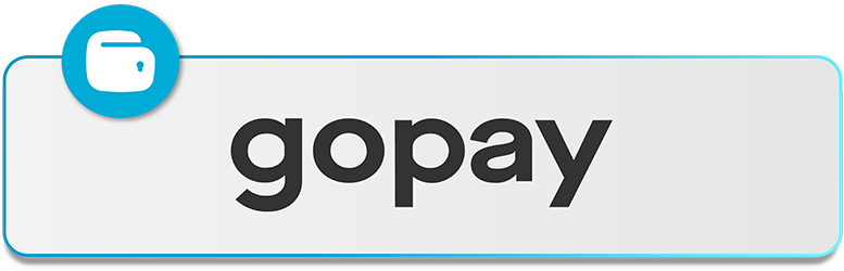 logo-channel-payment